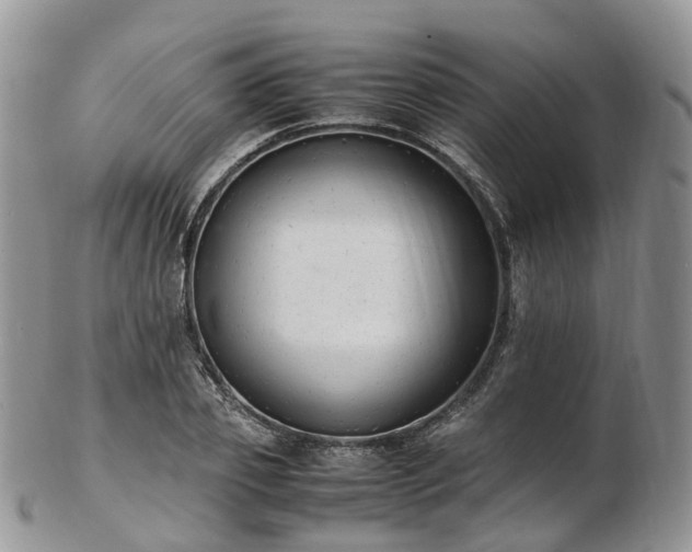 X0000102840933200808251152