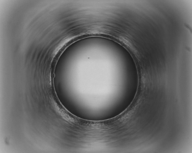 X0000102840934200808251152