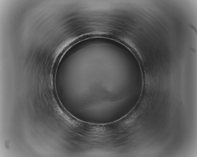 X0000102840935200808251152