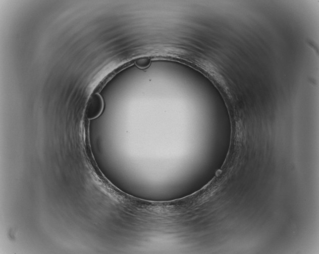 X0000102840936200808251152