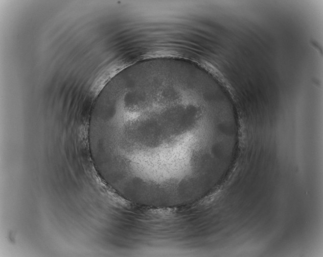 X0000102840937200808251152