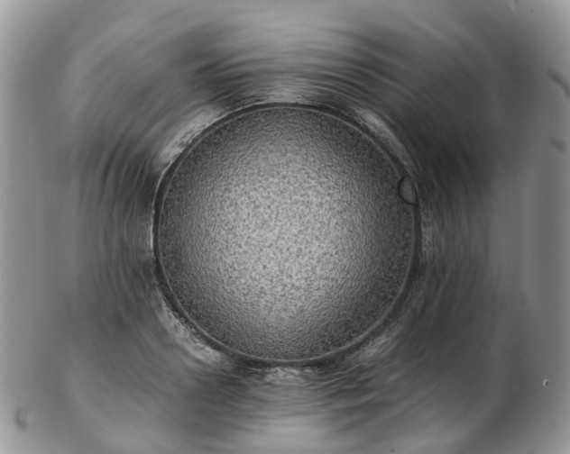 X0000102840938200808251152