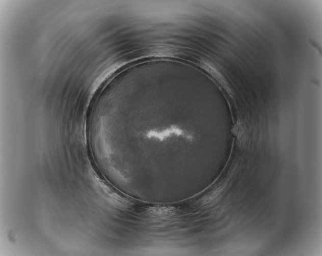 X0000102840939200808251152