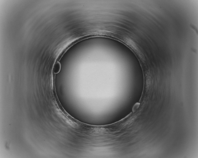 X0000102840940200808251152