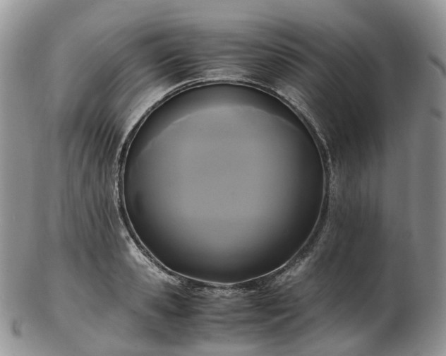 X0000102840941200808251152