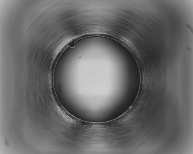 X0000102840942200808251152