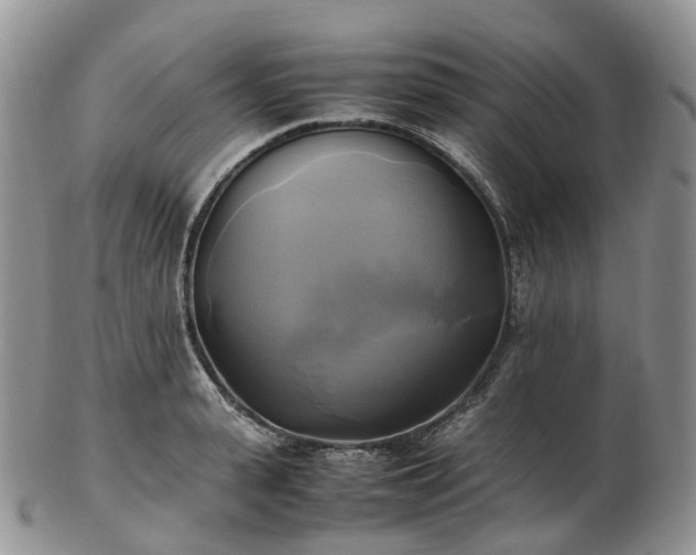 X0000102840943200808251152