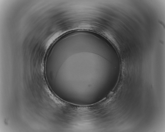 X0000102840944200808251152