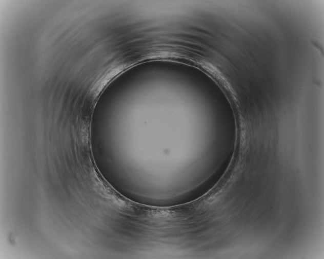 X0000102840945200808251152