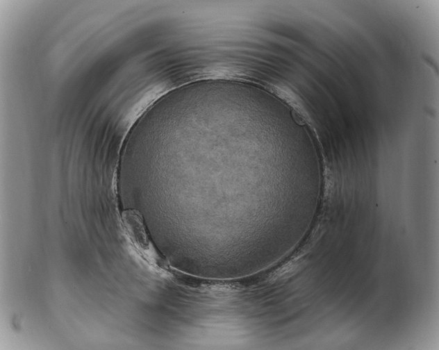 X0000102840946200808251152