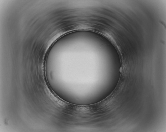 X0000102840947200808251152