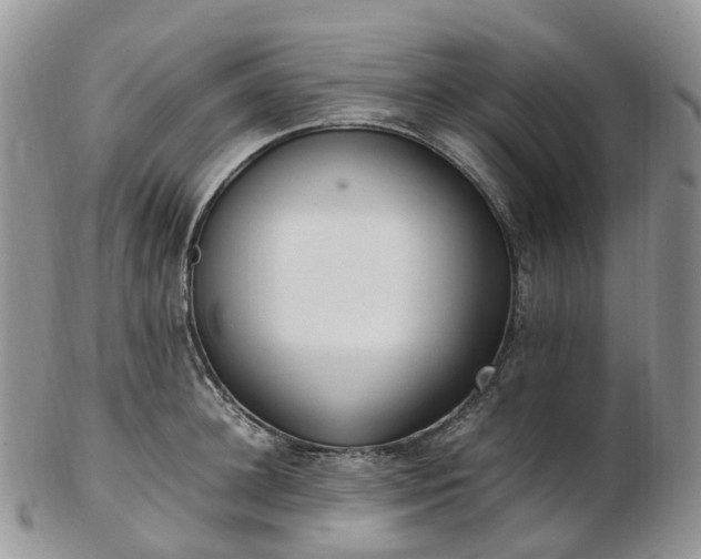 X0000102840948200808251152