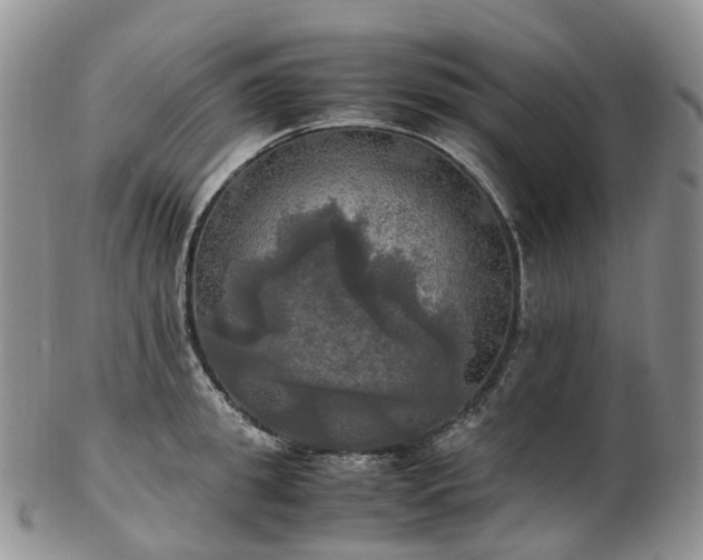 X0000102840949200808251153