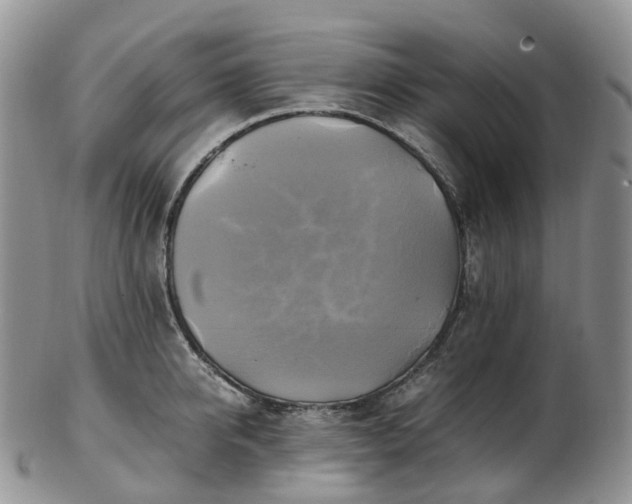 X0000102840950200808251153