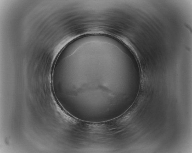 X0000102840951200808251153