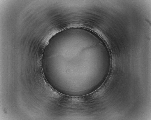 X0000102840953200808251153