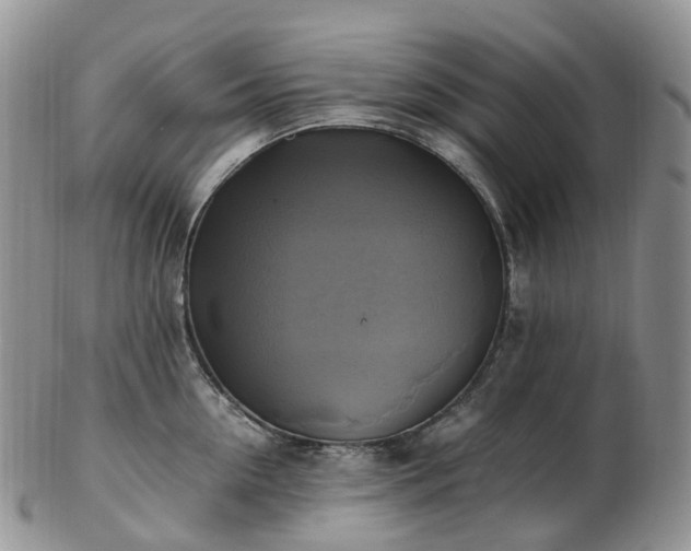 X0000102840954200808251153