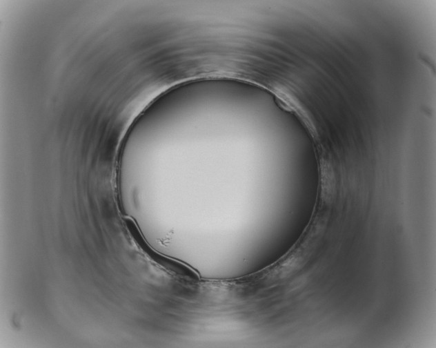 X0000102840956200808251153