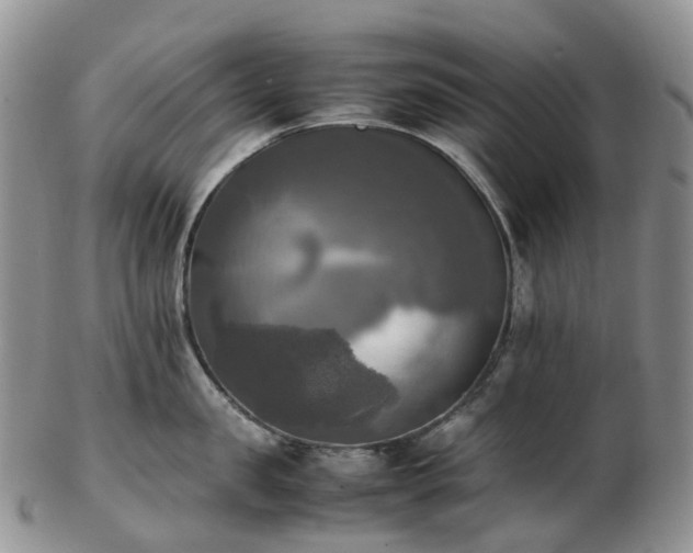 X0000102840957200808251153