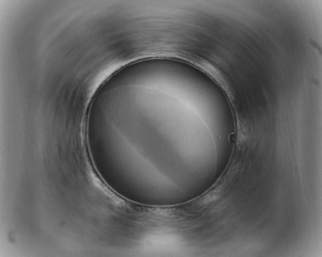 X0000102840958200808251153