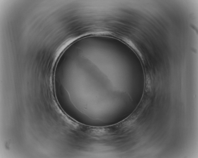 X0000102840959200808251153