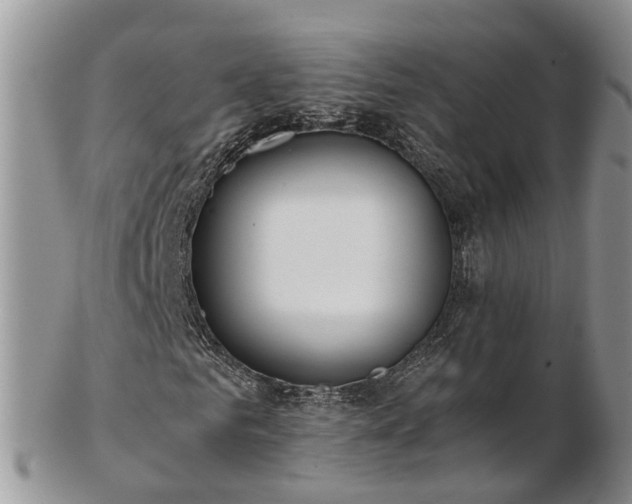 X0000102840961200808251152