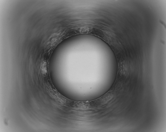 X0000102840962200808251152