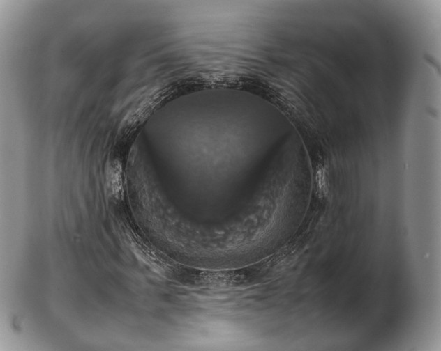 X0000102840963200808251152