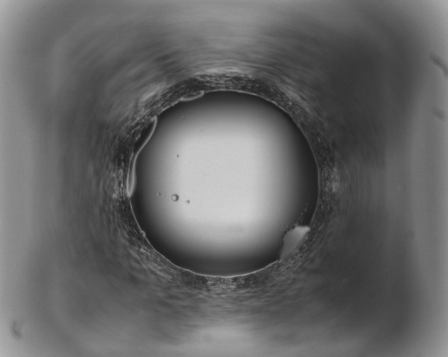 X0000102840965200808251152