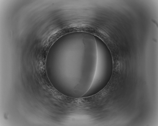 X0000102840966200808251152