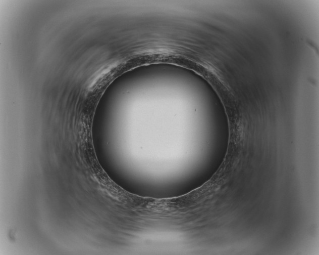 X0000102840967200808251152