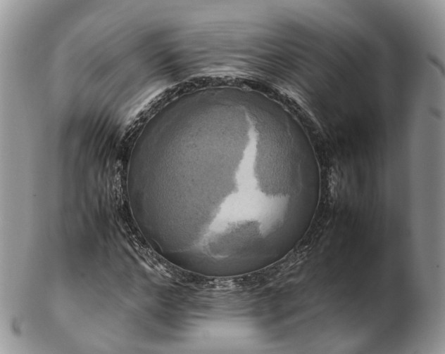 X0000102840968200808251152