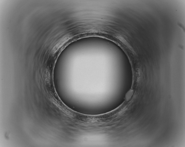 X0000102840969200808251152