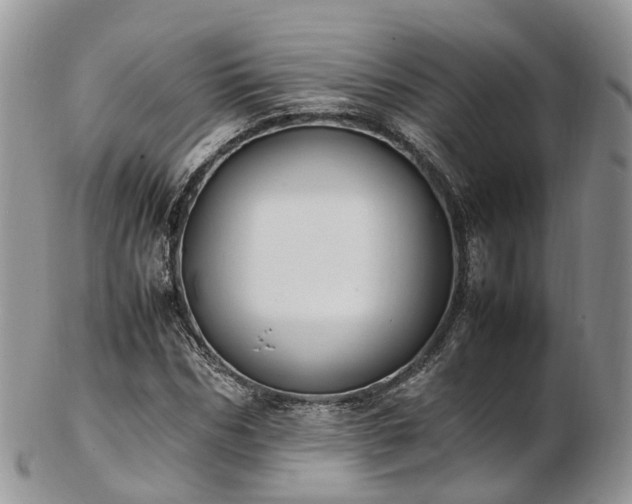 X0000102840970200808251152