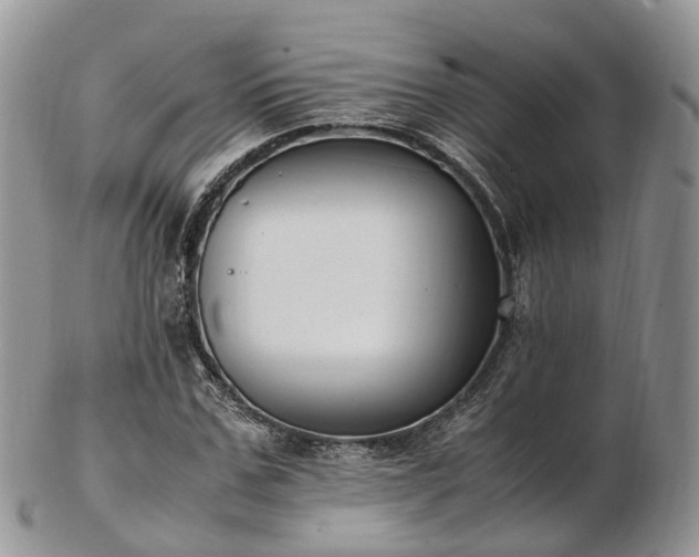 X0000102840971200808251152