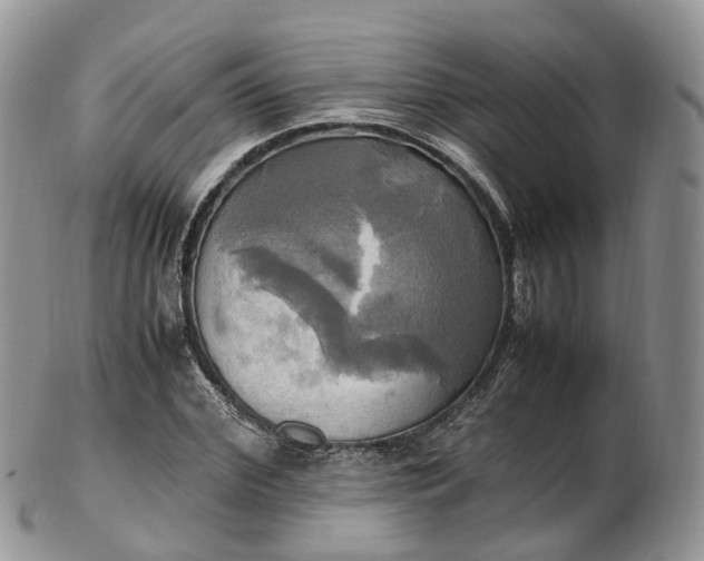 X0000102840972200808251152