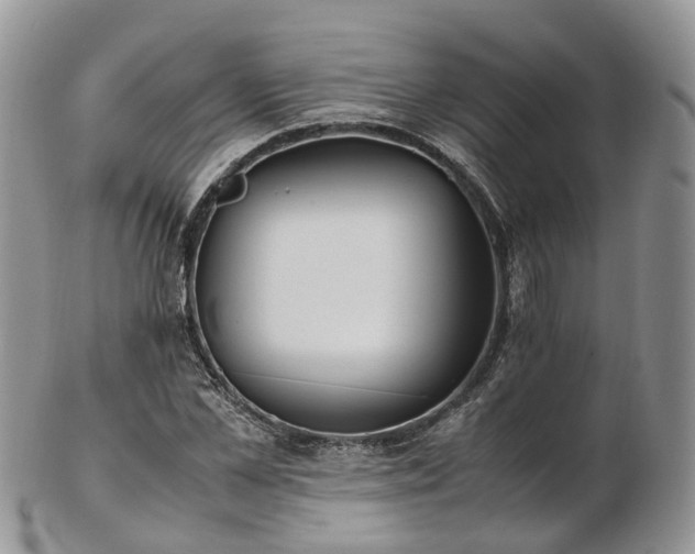 X0000102840973200808251152