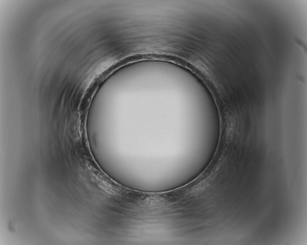 X0000102840974200808251152