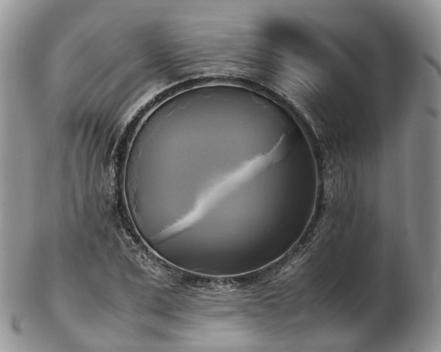 X0000102840975200808251152