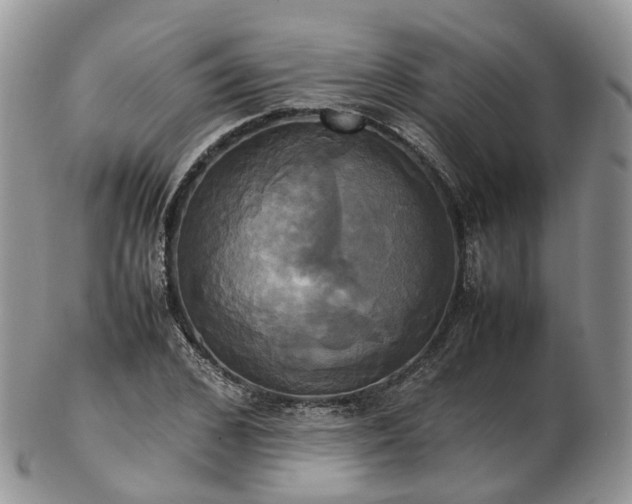 X0000102840976200808251152