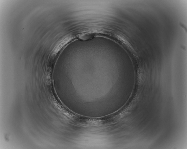 X0000102840977200808251152