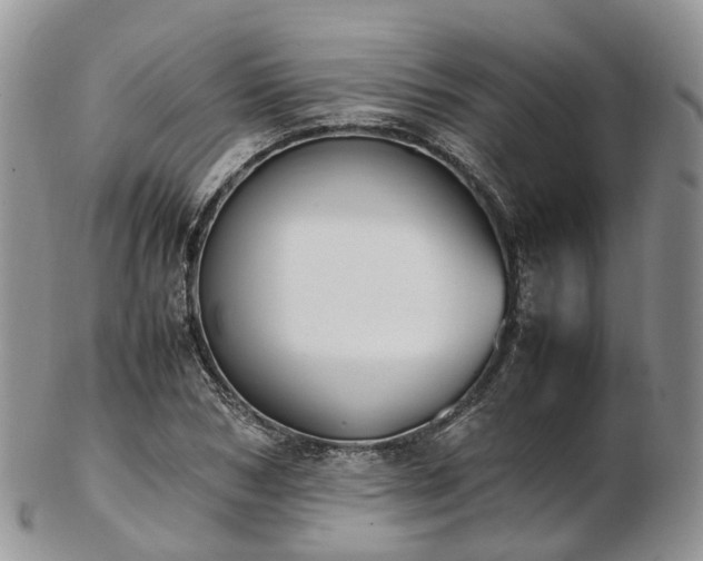 X0000102840978200808251152