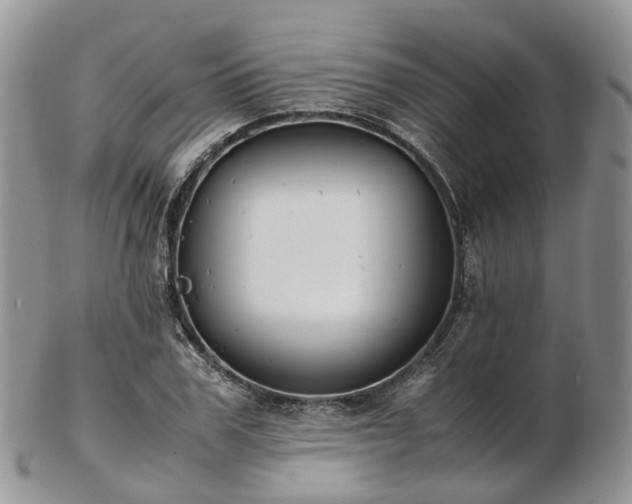 X0000102840979200808251152