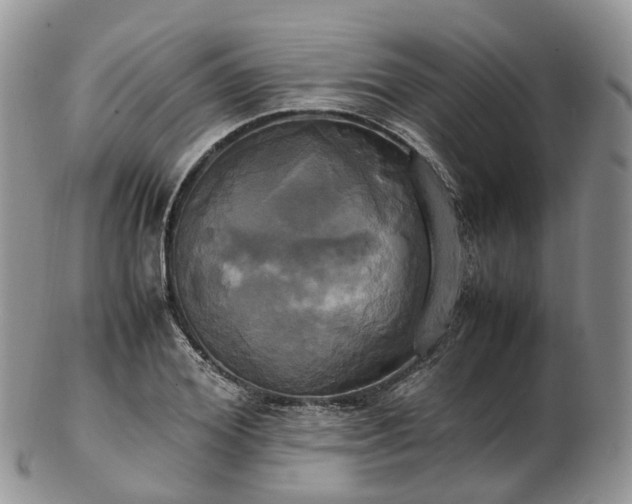 X0000102840980200808251152