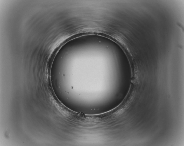 X0000102840981200808251152