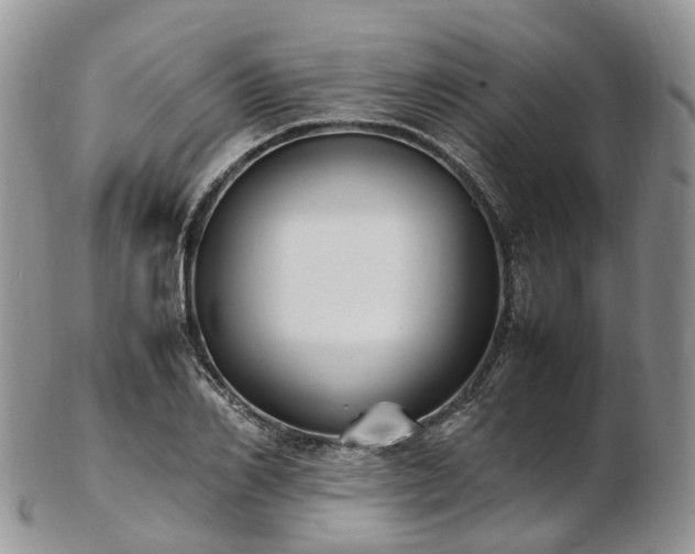 X0000102840982200808251152