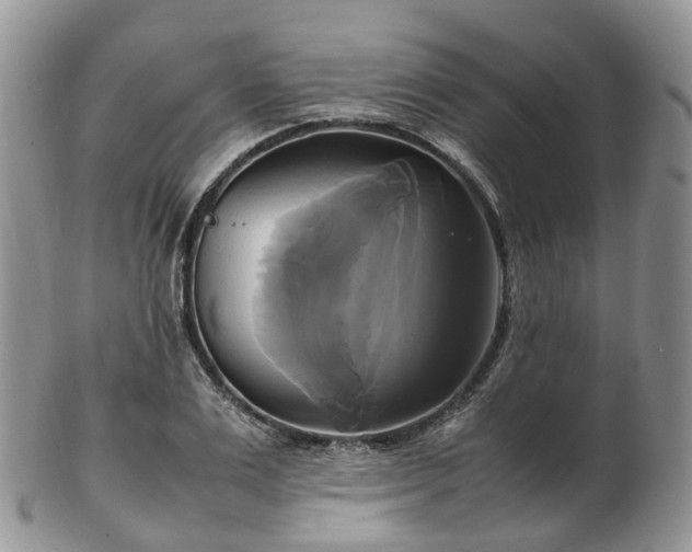 X0000102840983200808251152