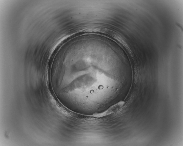 X0000102840984200808251152