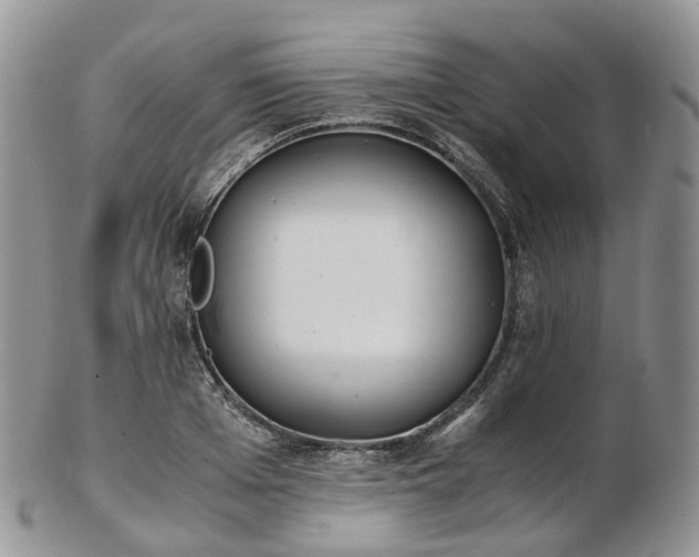 X0000102840985200808251152