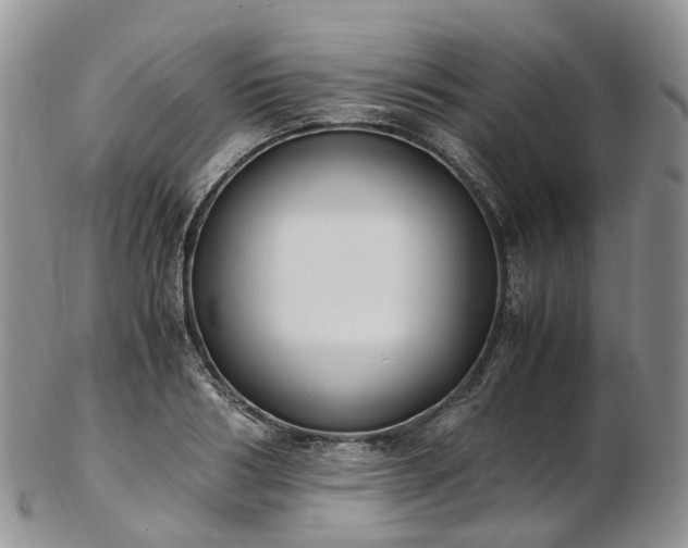 X0000102840986200808251152